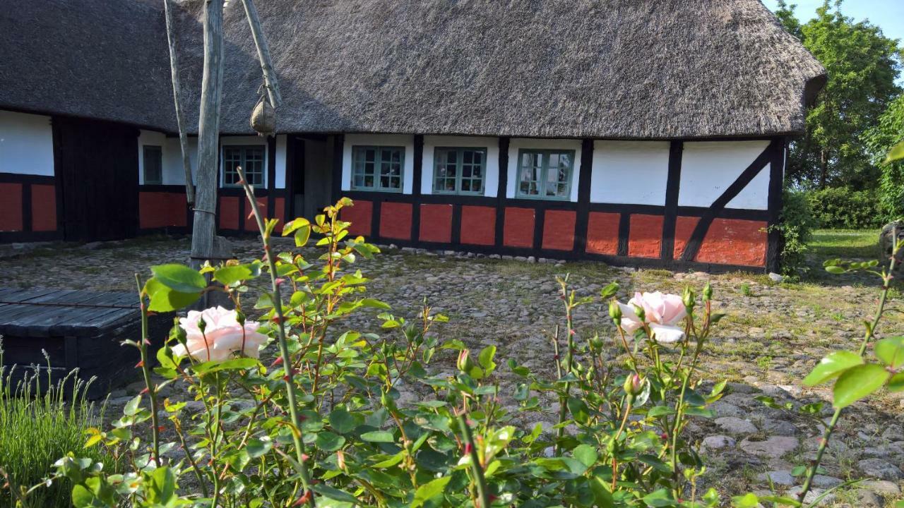 Thurup Hus Assens Extérieur photo
