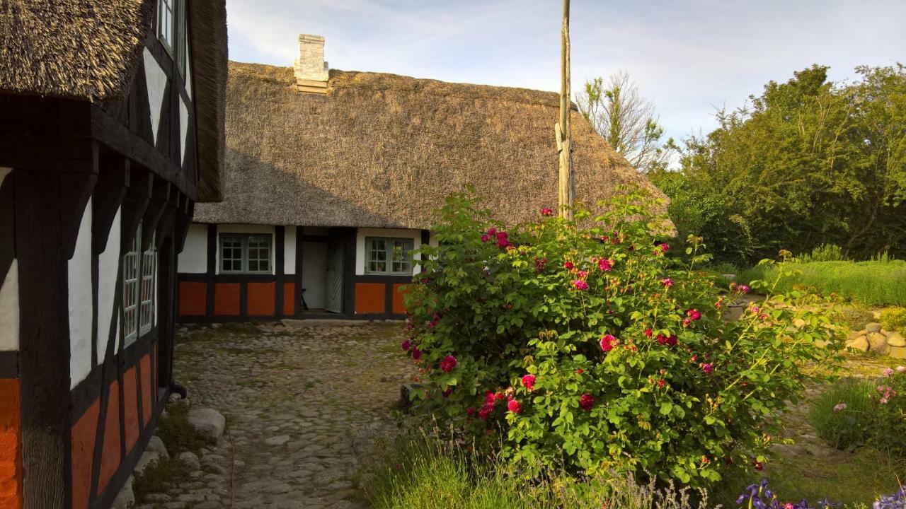 Thurup Hus Assens Extérieur photo