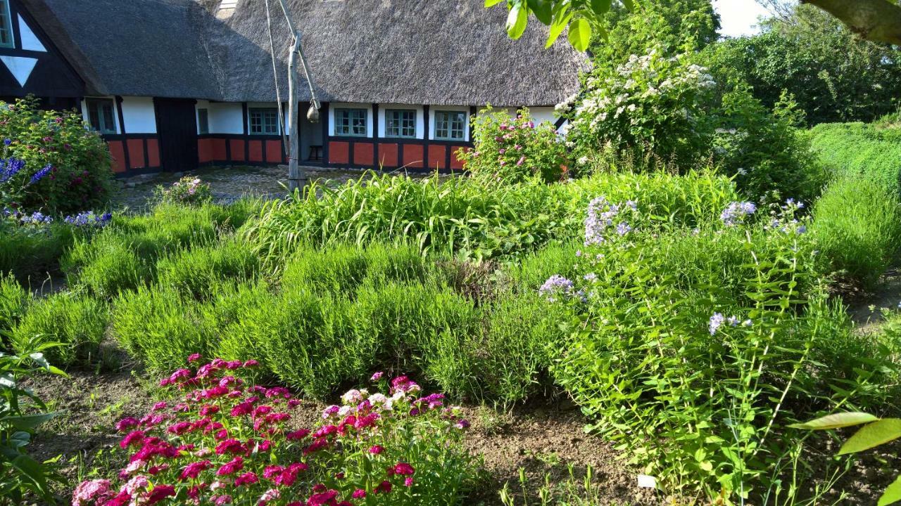 Thurup Hus Assens Extérieur photo